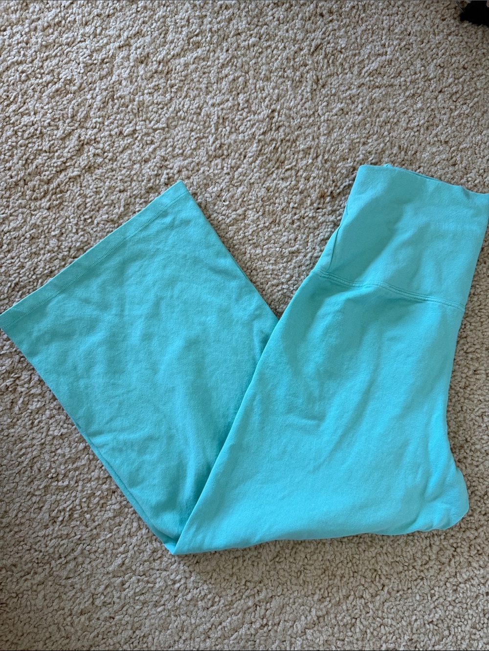 Brandy melville Seaform teal green  Priscilla Capri pants